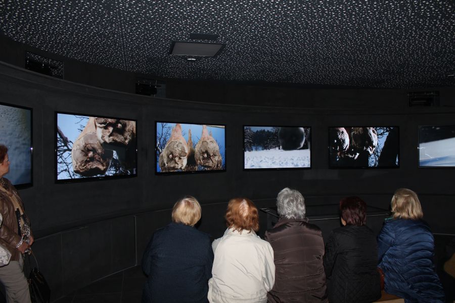 Klick für Vergrößerung Klick für Vergrößerung