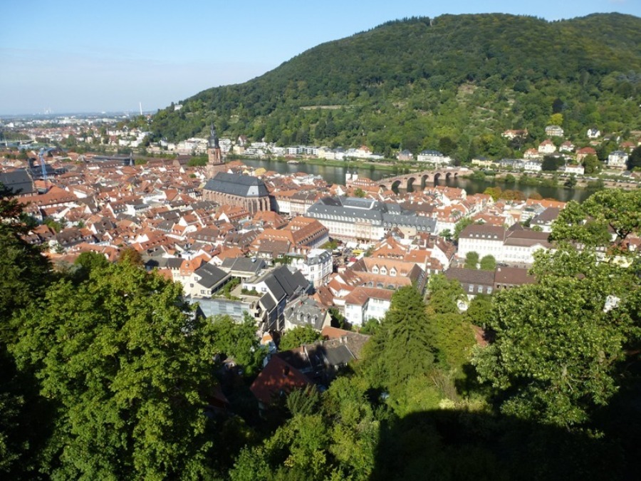 Klick für Vergrößerung Klick für Vergrößerung